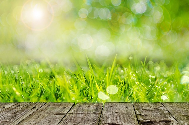 Få en smuk og velplejet græsplæne med græskanter fra vidaXL